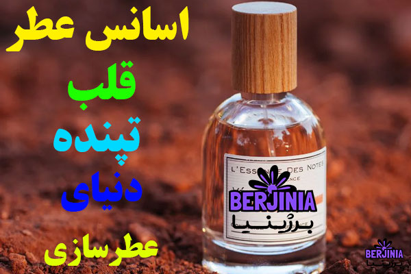 اسانس عطر قلب تپنده دنیای عطرسازی