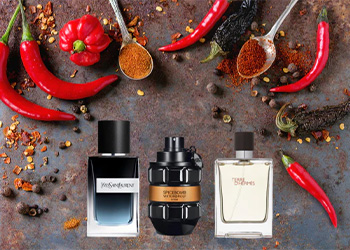 spicy mens perfume