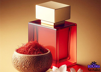 warm-mens-perfume